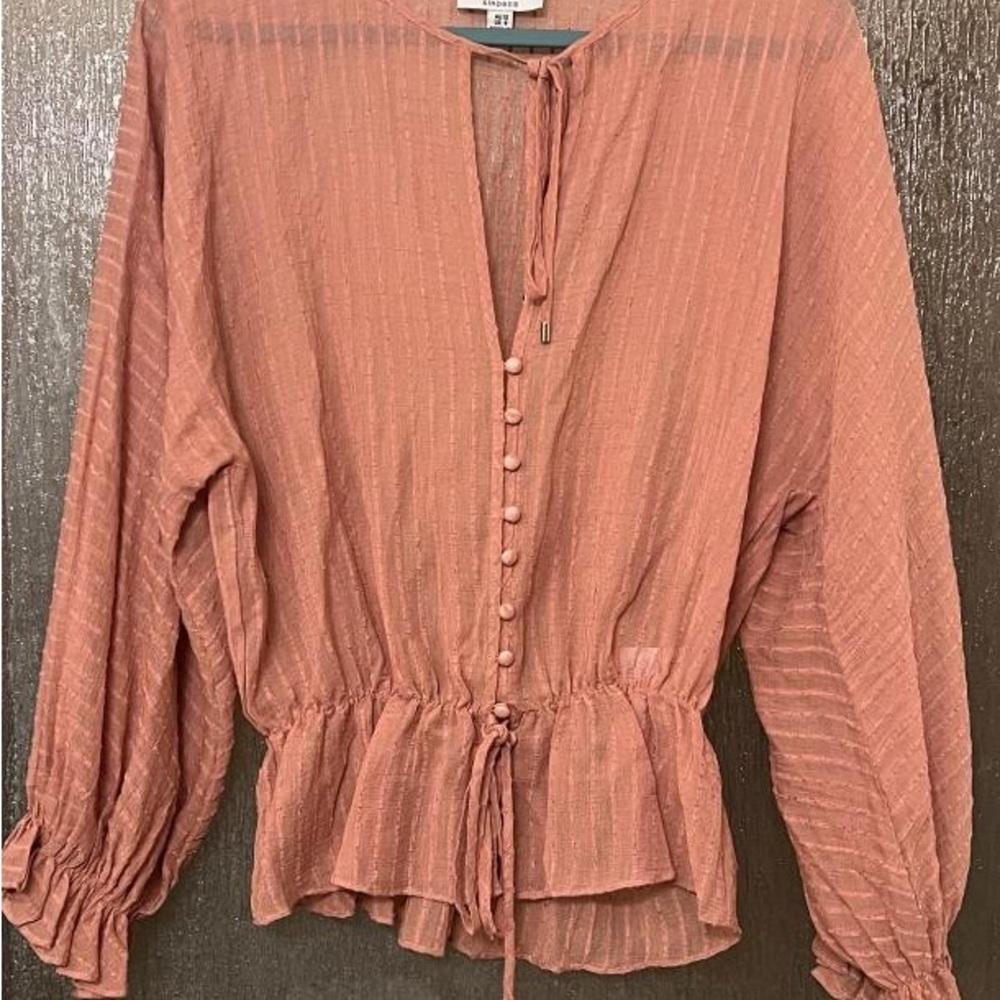 Zara Rust Button-Down Blouse - image 1
